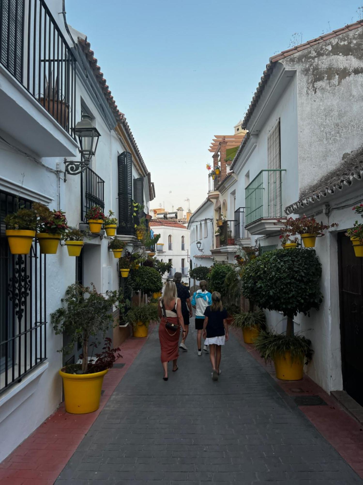 Playa Cristo Amazing Beach Terrace Appartment Estepona Buitenkant foto